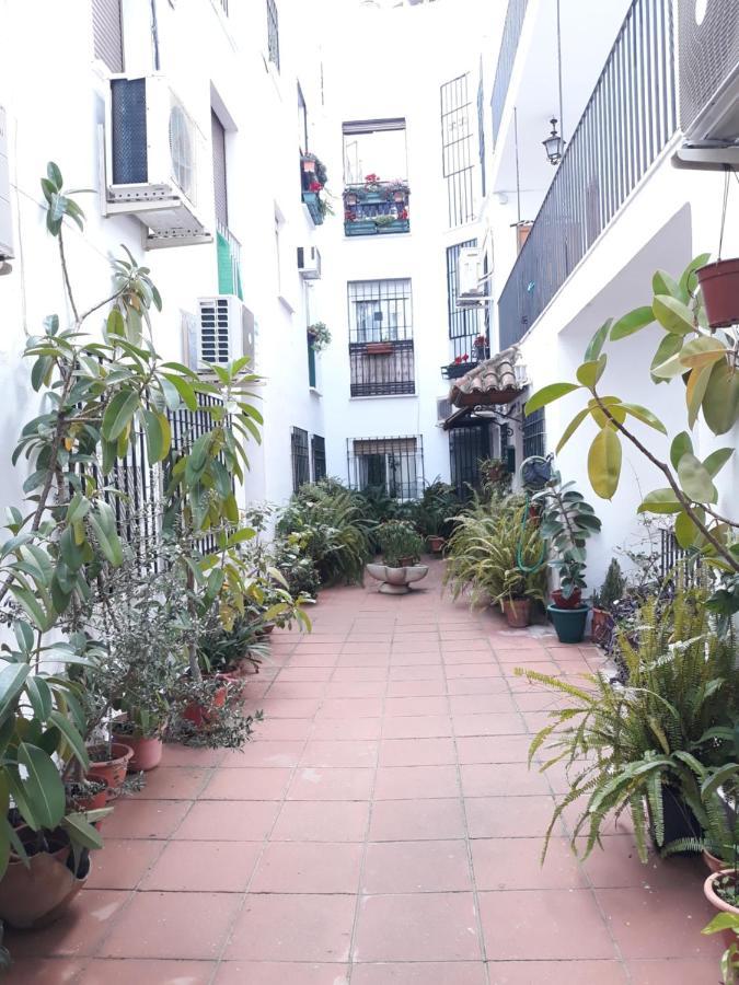 Apartamento Pleno Centro Wallada قرطبة المظهر الخارجي الصورة